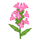 Image:bétoine.gif