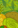 Image:Maitrise_de_la_nature_16.png
