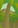 Image:appel11.png