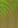 Image:82978246.png
