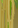 Image:19121174.png
