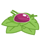 Image:Anti abcès léger.gif