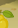 Image:M_de_la_terre_11.png