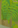 Image:appel7.png