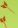 Image:apt_chasse_27.png
