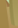 Image:Excavation_2.png