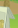 Image:Cult_12.png