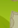 Image:Scout_29.png