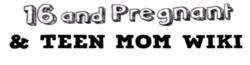 Teen Mom Wiki