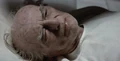 David McCoy.jpg
