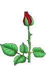 Rose.gif