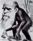 Darwin.jpg