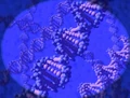 DNA.jpg