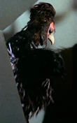 Humanoid bird.jpg