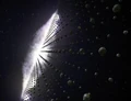Minefield destroyed.jpg