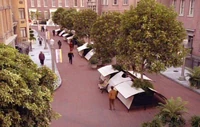San Francisco streets.jpg