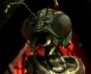Xindi-Insektoide