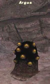 Argus