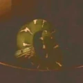 Bajoran snake.jpg