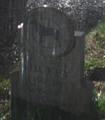 Dog grave.jpg