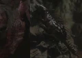 Cave-rat.jpg