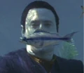 Baku fish.jpg