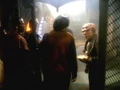 Quark workers.jpg