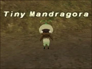 Tiny-Mandragora