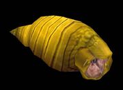 Carrionworm