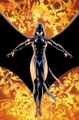 Raven 002