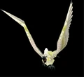 Cockatiel.png