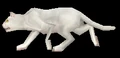 WhiteKitten.png