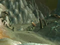 Valley Bones.jpg