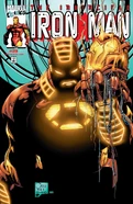 Iron Man Vol 3 29