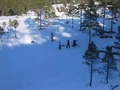Norwegian winter2.jpg