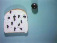 Shot.raisinarmy