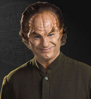 Phlox