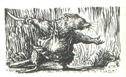 Groffgut