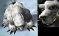 PolarBear.jpg