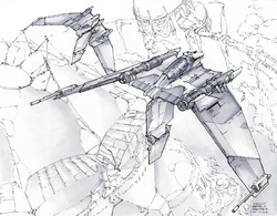 V-19