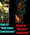 HighBloodElfSwordsman.jpg