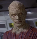 Raan.jpg