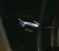 Ussbonestell