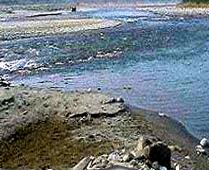 Yamuna and Tons rivers