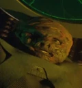 Assimilated Vidiian.jpg