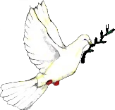 Peace dove.png