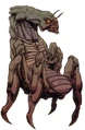 Colicoid2.jpg