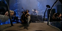 Nine Inch Snails