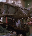 Tyrannosaurus rex.jpg