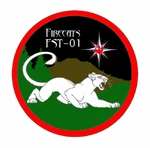 Fc patch.gif